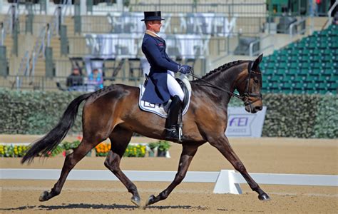 rolex kentucky 2015 riders|rolex kentucky dressage.